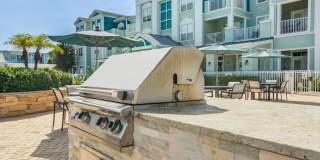The Enclave at Tranquility Lake Apartments Gallery 19