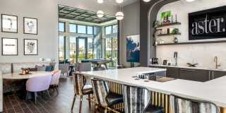 Aster Aster Gallery 16