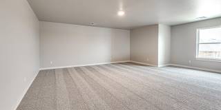 109 Carlow Way Gallery 48
