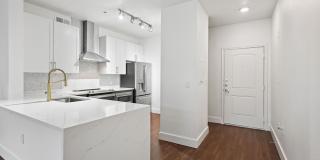 Dorian and Encore Gallery 4