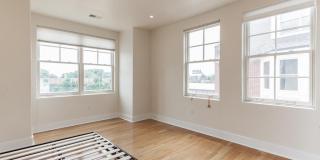133 SALTER STREET Gallery 20