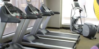 Thomas Court Gallery 17