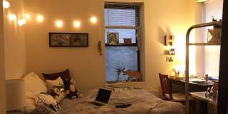 3 bedroom minutes from Boston University Gallery 9