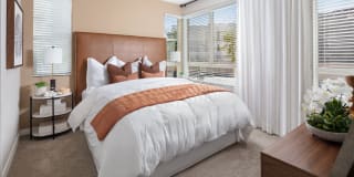 Homecoming at The Resort Apartments Gallery 15