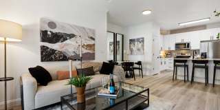 Verde Vista Gallery 18