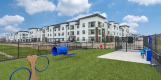 Aspen at Gateway Gallery 21