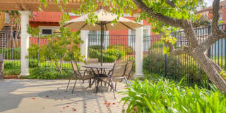 Peppertree Apartments Gallery 3