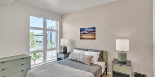 Heartwood Gallery 15
