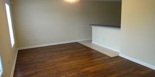 Longview Ct this Fall! Gallery 3