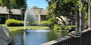 Live at The Lakes! Gallery 1