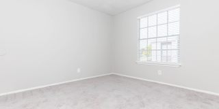 Banyan Cove Gallery 28