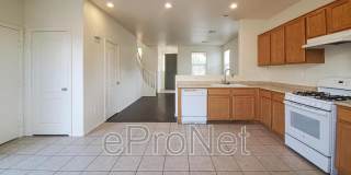 3314 Cave Primrose St. Gallery 1
