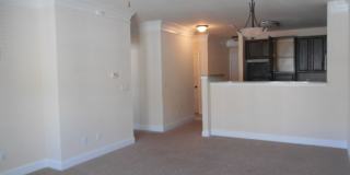 Briton Trace Apartments Gallery 101