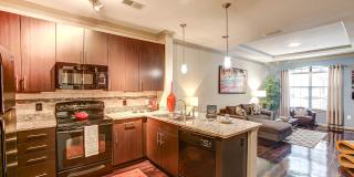 The Heights at Lasalle Gallery 18