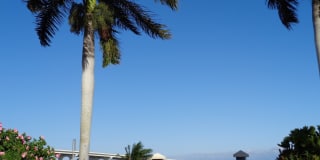 Vero Beach Rentals. Vero Beach Rent, LLC and Property Management Company Vero Beach Rentals. Vero Beach Rent, LLC and Property Management Company Gallery 50