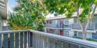 Pruneyard West Gallery 50