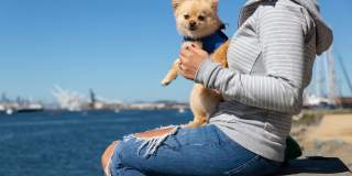 Channel House Gallery 46