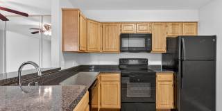 The Cloisters Gallery 37