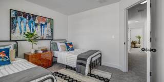 Mt. Rainier Gallery 31