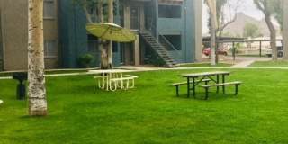 Paradise Greens Gallery 3