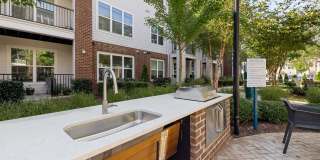 Alta Wren Gallery 42