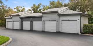 Crosstown Walk Gallery 44