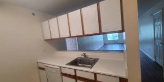 4 Bedroom, 4 Bath in Star City - Available NOW - 7/24/26! Gallery 16