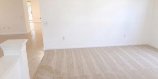 Step Out Your Door & Into The Loop! Gallery 6