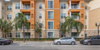 RIZE at Winter Springs Gallery 38