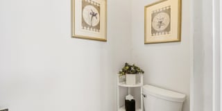 79325 Toronja Gallery 31