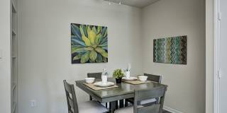 Autumn Chase Gallery 4