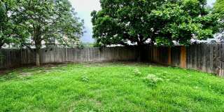 Amelia Court 3/2 Gallery 12