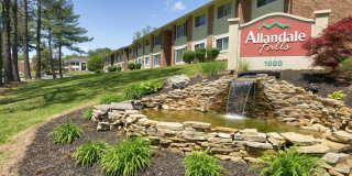 Allandale Falls Gallery 10