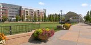 Central Park HOUSE for rent! 2 BLOCKS TO STANLEY MARKETPLACE Gallery 39