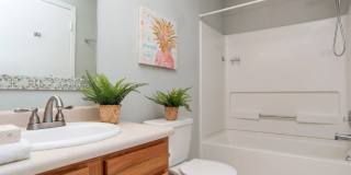 3017 Everbloom Way Gallery 3