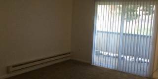 3948 Clear Acre Lane Unit 257  - Available Now! Gallery 7