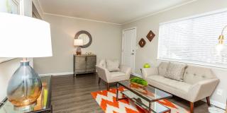 Bella 810 Gallery 5