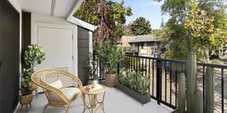 Lorien Ivy Apartments Gallery 8