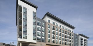 The Laureate Gallery 50