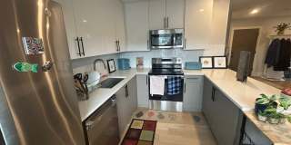 No Broker Fee | Bright 1 Bed in Brighton | Available 9/1 Gallery 4