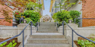 Tera Apartments Gallery 35