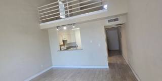 #731 Gallery 1