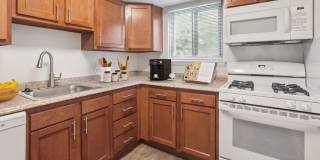 Hamilton Springs Gallery 1