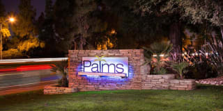 The Palms Gallery 1