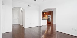 Forum on San Felipe Gallery 18