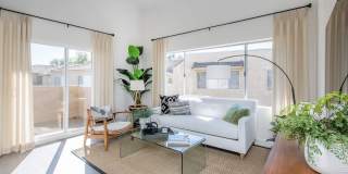 Park Sierra Gallery 51