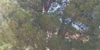 Home For Rent - Great Location on the Westside w/ Refrigerated Air! Gallery 8