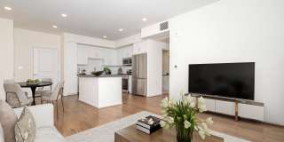 Vineyards Gallery 161