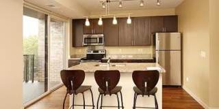 The Elysian Gallery 599