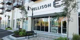 Ellison Apartments Gallery 37